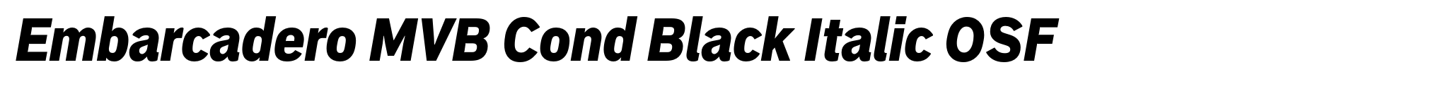 Embarcadero MVB Cond Black Italic OSF image